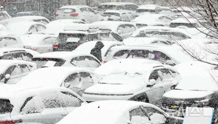 [세종=뉴시스] 강종민 기자 = 봄을 시샘하는 눈이 내린 24일 세종시 어진동 정부세종청사 주차장에 눈이 덮여 있다. 2026.02.24. ppkjm@newsis.com