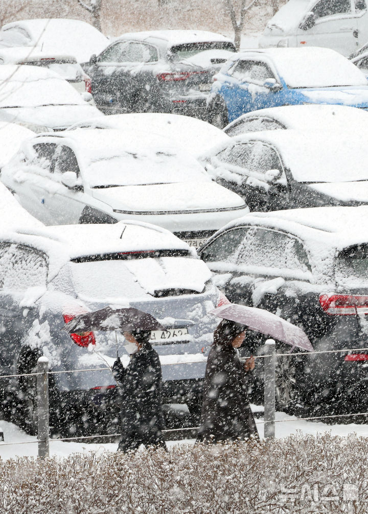[세종=뉴시스] 강종민 기자 = 봄을 시샘하는 눈이 내린 24일 세종시 어진동 정부세종청사 주차장에 눈이 덮여 있다. 2026.02.24. ppkjm@newsis.com