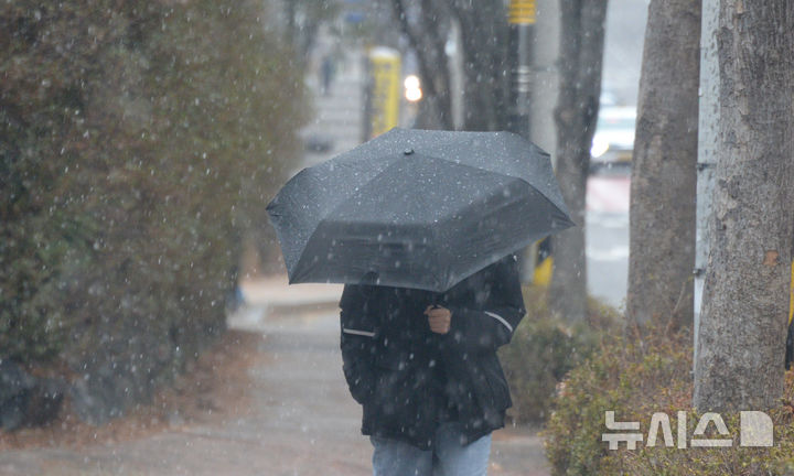 [전주=뉴시스] 김얼 기자 = 쌀쌀한 겨울 날씨가 찾아온 24일 전북 전주시 덕진구 송천동에서 시민들이 내리는 눈 사이로 길을 지나고 있다. 2026.02.24. pmkeul@newsis.com