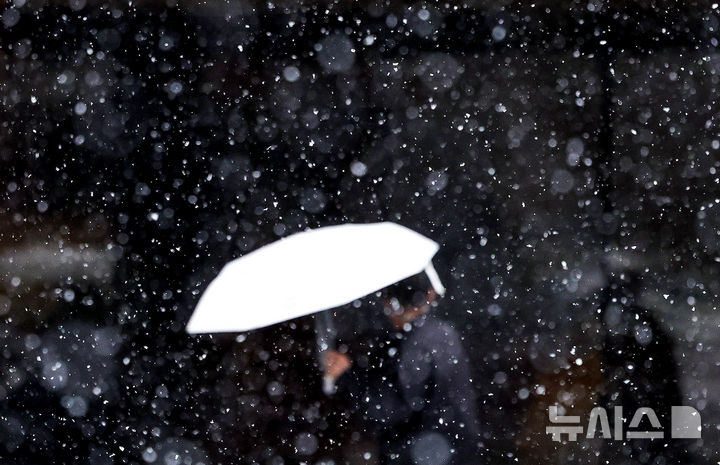 전국 대부분 지역에 눈·비… 대구엔 대설주의보 [뉴시스Pic]