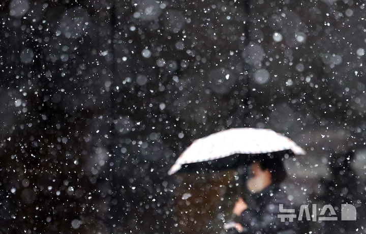 [대구=뉴시스] 이무열 기자 = 24일 대구 수성구 수성동2가에 많은 눈이 내리고 있다. 2026.02.24. lmy@newsis.com