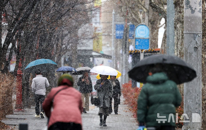 [대구=뉴시스] 이무열 기자 = 24일 대구 수성구 수성동2가에 많은 눈이 내리고 있다. 2026.02.24. lmy@newsis.com