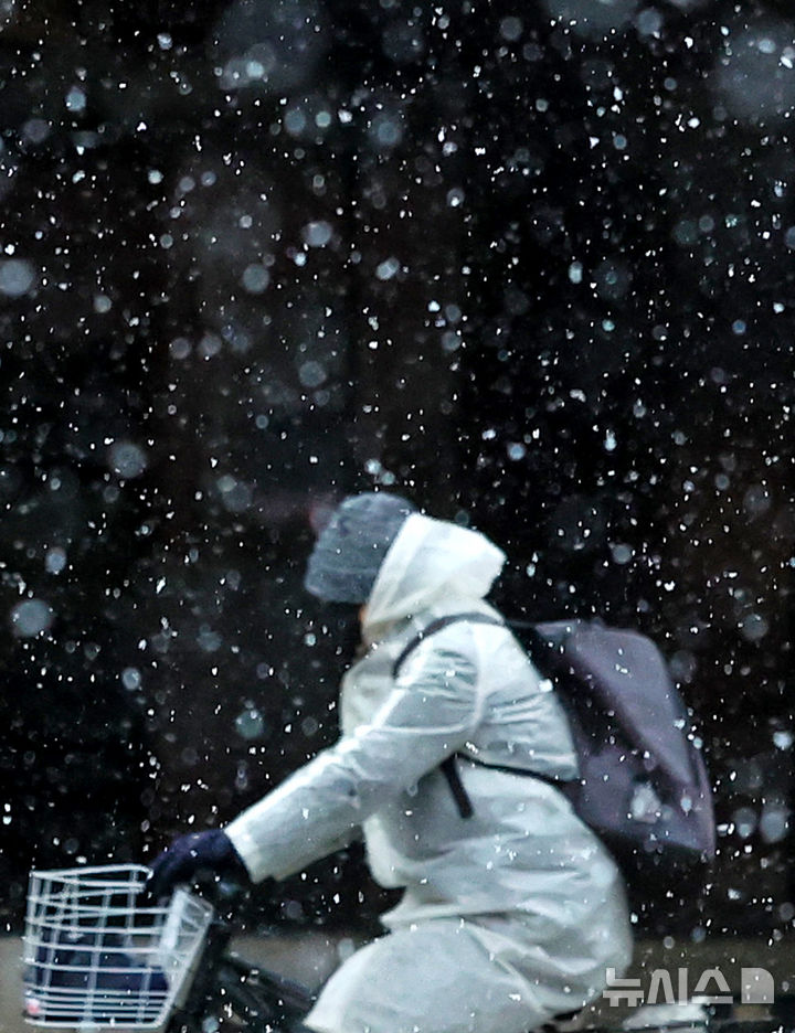 [대구=뉴시스] 이무열 기자 = 24일 대구 수성구 수성동2가에 많은 눈이 내리고 있다. 2026.02.24. lmy@newsis.com