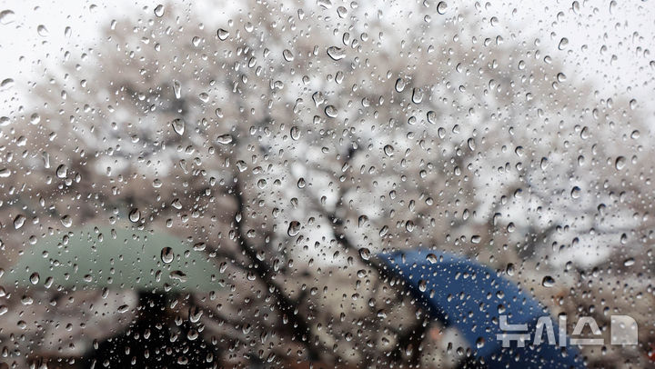 부산, 대체로 흐리고 낮까지 5㎜ 안팎 비