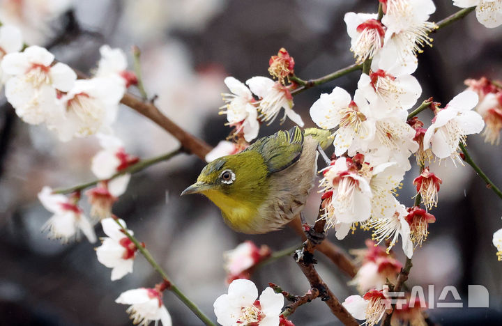 부산, 대체로 흐린 날씨…낮 최고기온 14도