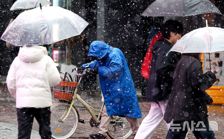 [대구=뉴시스] 이무열 기자 = 24일 대구 중구 동성로에 많은 눈이 내리고 있다. 2026.02.24. lmy@newsis.com