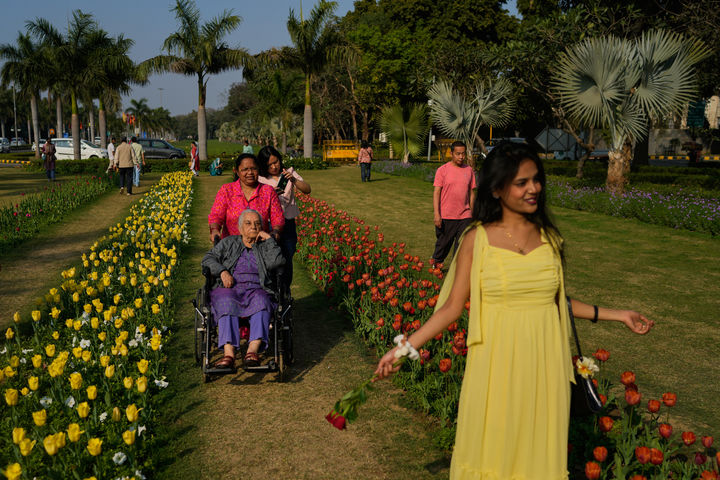 튤립 배경, 릴스 찍는 인도 소녀