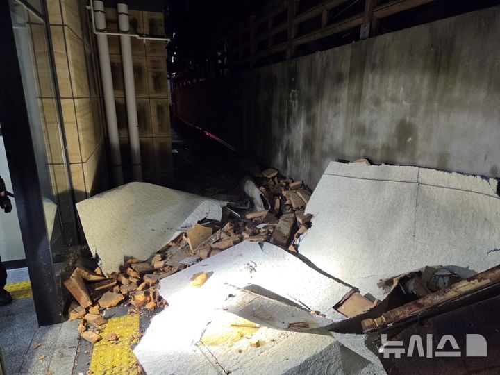 [제주=뉴시스] 25일 오전 제주 서귀포시 동홍동에서 강풍에 의해 나무가 쓰러져 소방당국이 안전조치를 하고 있다. (사진=제주소방안전본부 제공) 2026.02.25. photo@newsis.com 