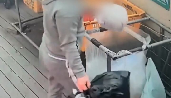 사진 보배드림 인스타그램 캡처 *재판매 및 DB 금지