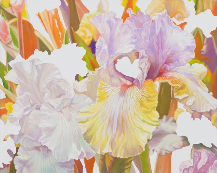 한수정 135Iris, 73x91cm, Oil on canvas, 2026 *재판매 및 DB 금지