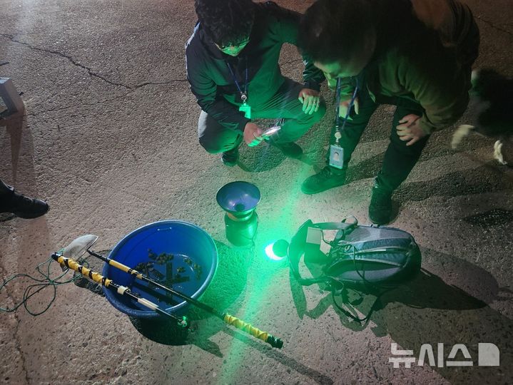 [평택=뉴시스] 해양경찰이 야간을 틈타 실뱀장어를 불법 포획한 현장을 적발해 압수된 어구와 어획물을 살피고 있는 모습 (사진=평택해양경찰서 제공) 2026.02.26.photo@newsis.com 