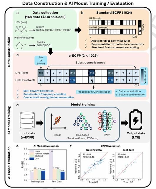 [서울=뉴시스] 연구 개념도. (사진=고려대 제공) 2026.02.26. photo@newsis.com *재판매 및 DB 금지