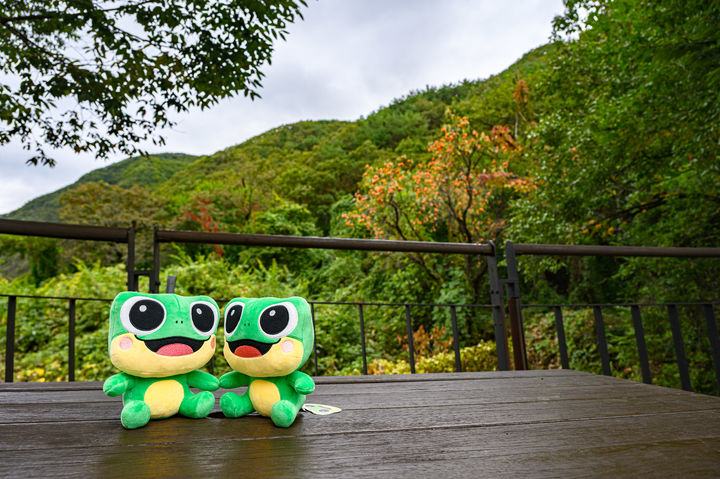 [수원=뉴시스] 청량산 수원캠핑장 전망데크에 놓인 수원시 마스코트 인형. 청량산 자락을 배경으로 캠핑장의 자연 환경을 보여준다. 2026.2.27. (사진=수원시 제공) photo@newsis.com *재판매 및 DB 금지