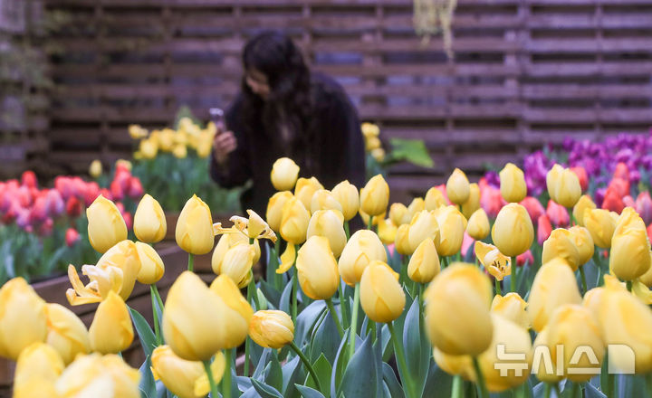 대구·경북, 흐리다 차차 맑아져…아침 2도·한낮 13도
