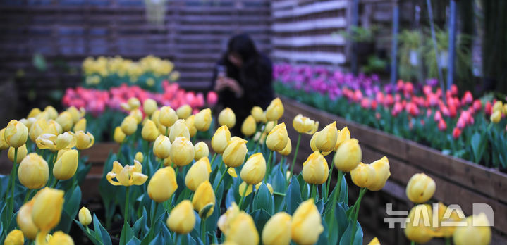 연휴 마지막날 대구·경북, 대체로 흐리고 비…'최대 30㎜'