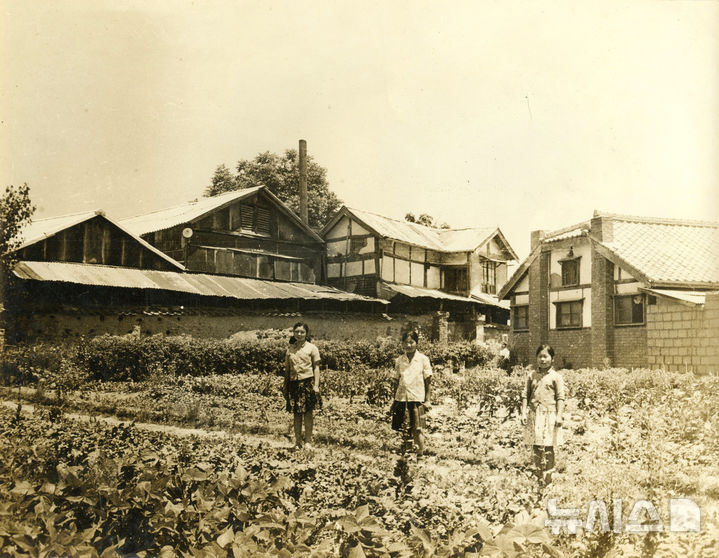 [나주=뉴시스] 1960년대 나주 남평주조장 모습. (사진=나주시 제공) photo@newsis.com *재판매 및 DB 금지