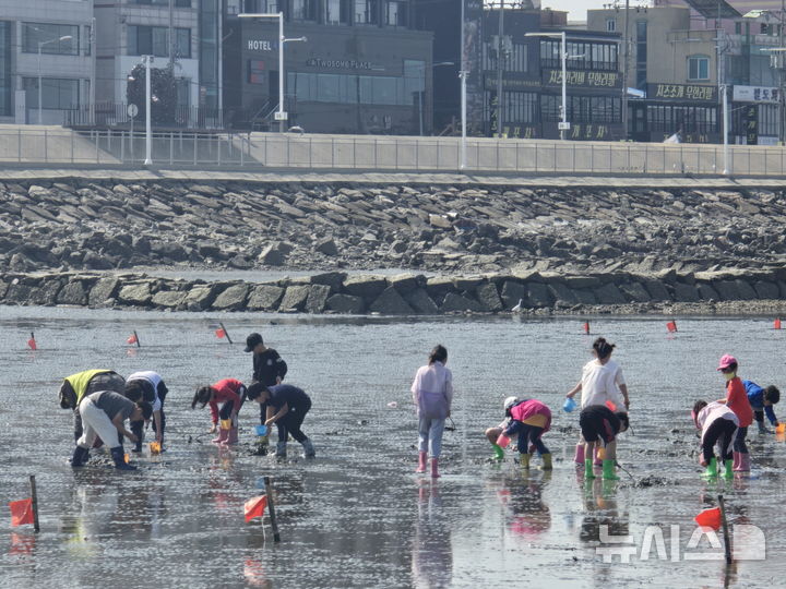 [시흥=뉴시스] 오이도 어촌체험휴양마을 갯벌체험 현장. (사진=시흥시 제공).*재판매 및 DB 금지