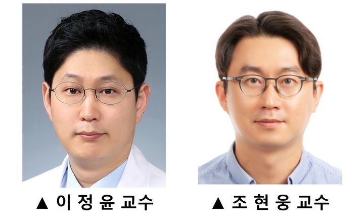 [서울=뉴시스] 연세암병원 부인암센터 이정윤 교수, 서울아산병원 산부인과 조현웅 교수 공동 연구팀은 PARP(P(Poly ADP-ribose polymerase) 억제제를 사용하다가 재발한 백금민감성 난소암 환자에게 PARP 억제제와 베바시주맙을 병행해 투여하자 종양의 무진행으로 인한 환자 생존율이 증가하는 등 치료 효과가 높아지는 것을 관찰했다고 27일 밝혔다. (사진=세브란스병원 제공) 2026.02.27. photo@newsis.com *재판매 및 DB 금지