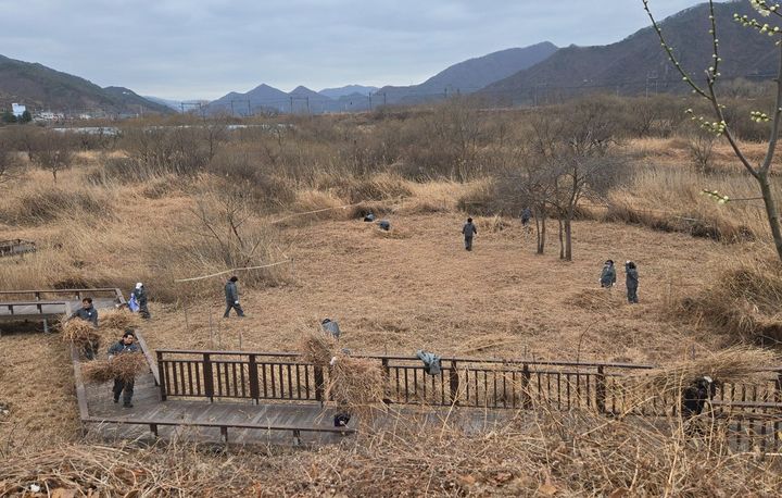 [양산=뉴시스] 당곡천 원동습지 멸종위기종 보전 행사를 하고 있다. (사진=양산시 제공) 2026.02.27. photo@newsis.com *재판매 및 DB 금지