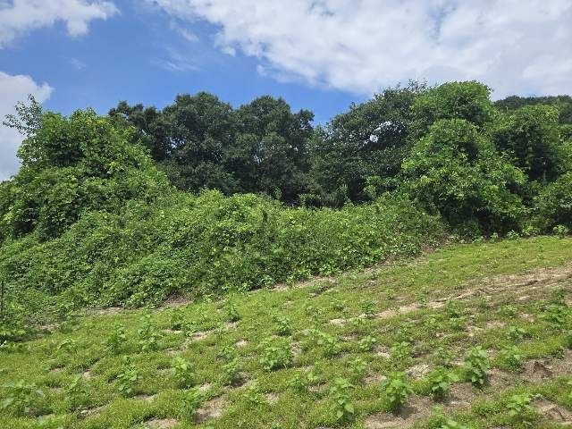 [강릉=뉴시스] 캠코 강원본부가 오는 3월 3일, 4일 이틀간 도내 압류재산 53억 원 규모, 총 91건의 압류재산을 공매 진행하는 가운데 원주시 소초면 수암리에 위한 토지.(사진=캠코 강원본부 제공)photo@newsis.com *재판매 및 DB 금지