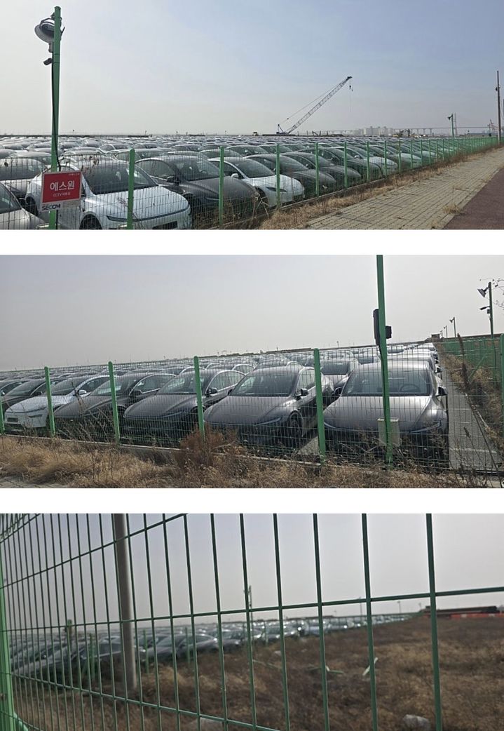 평택항 출고장으로 추정되는 부지에 수천 대의 테슬라 차량이 방치되고 있다.(사진=인터넷 커뮤니티) *재판매 및 DB 금지