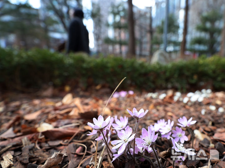 낮 최고 17도까지 올라 '포근'…동해안 비소식[오늘날씨]