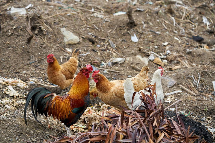 [서울=뉴시스] 기사의 이해를 돕기 위한 이미지. (사진=유토이미지)  *재판매 및 DB 금지
