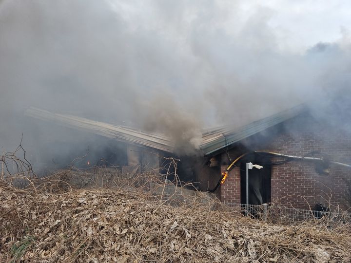무안 돼지 축사서 화재, 620마리 폐사…소방당국 진화중
