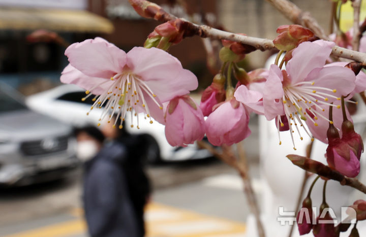 울산 구름 많다가 오후에 맑음…최고기온 11도
