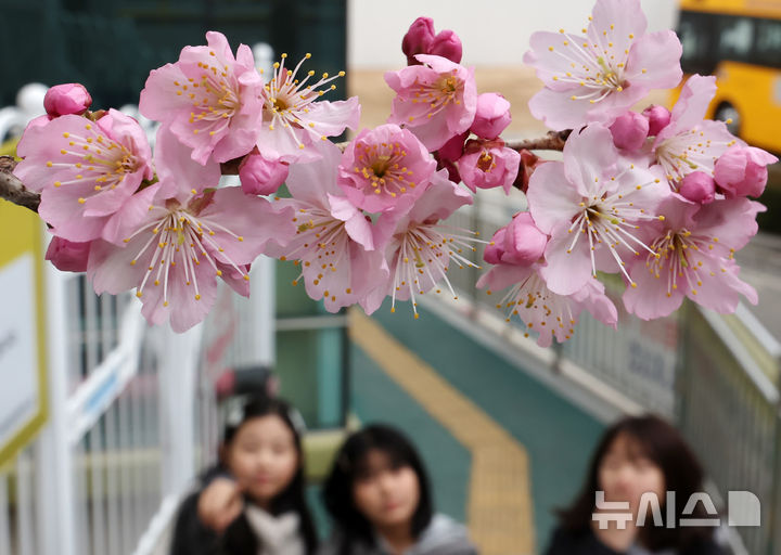 울산 가끔 구름 많음…최저 1도·최고 10도