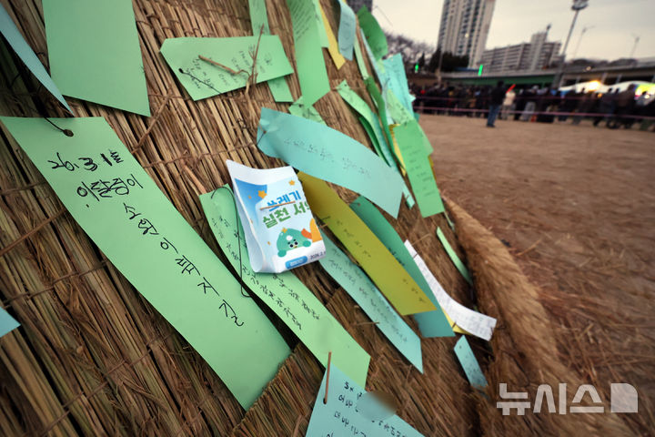 [서울=뉴시스] 최진석 기자 = 1일 서울 영등포구 오목교 인근에서 열린 정월대보름 맞이 달집태우기 행사에서 시민들이 소원을 적은 소원지가 달집에 붙어 있다. 2026.03.01. myjs@newsis.com
