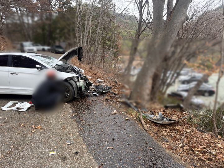 [부산=뉴시스] 지난 1일 오후 부산 기장군의 한 사찰 등산로 내리막길을 내려오던 A(70대)씨가 운전한 승용차가 가로수를 들이받았다. (사진=부산 기장경찰서 제공) 2026.03.02. photo@newsis.com *재판매 및 DB 금지