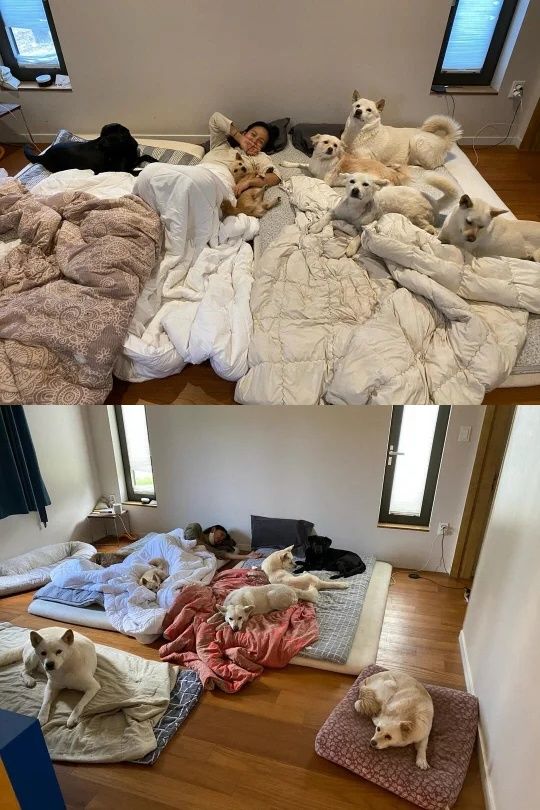 [서울=뉴시스]이효리 집(사진=SNS 캡처) 2026.03.02. photo@newsis.com *재판매 및 DB 금지