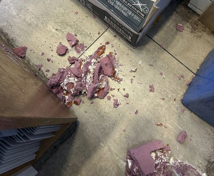 사진 보배드림 SNS 캡처 *재판매 및 DB 금지