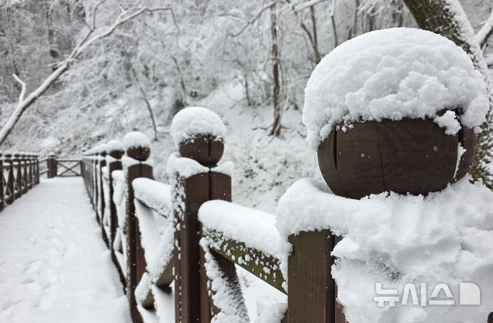 [태백=뉴시스]홍춘봉 기자 = 3.1절 연휴의 마지막 날이자 경칩을 사흘 앞둔 2일, 강원 태백지역에 대설주의보가 내려진 가운데 태백산국립공원에는 10cm가 넘는 대설이 교량 난간 장식대 위에 내려 앉아 색다른 형상을 보여주고 있다. 2026.03.02. casinohong@newsis.com&nbsp; 