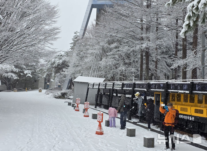 [태백=뉴시스]홍춘봉 기자 = 3.1절 연휴의 마지막 날이었던 지난 2일, 강원 태백지역에 대설주의보가 내려진 가운데 태백산국립공원 태백석탄박물관 입구에 눈이 소복하게 쌓이자 등반객들이 셀카를 촬영하고 있다.2026.03.02. casinohong@newsis.com&nbsp; 