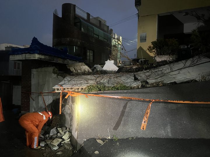 수목 전도·옹벽 붕괴…부산 초속 29m 강풍에 잇단 피해