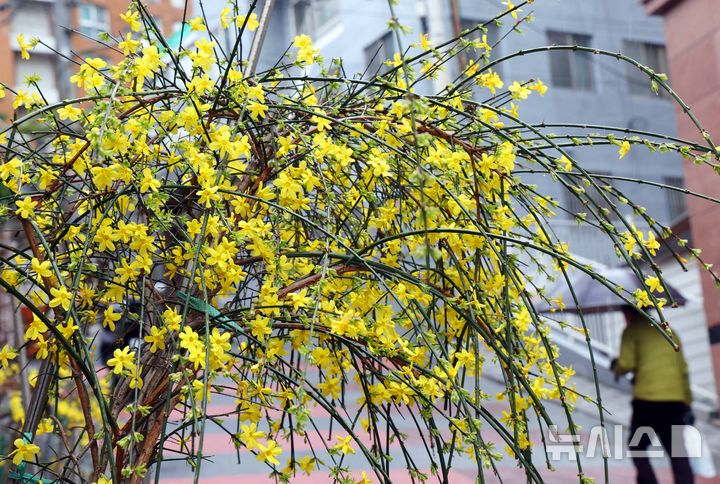 '연휴 뒤 첫 평일' 경기·강원·경북 등 눈폭탄 주의[오늘날씨]