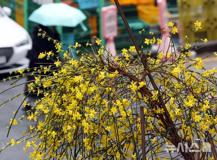 부산, 흐리고 바람 강한 날씨…아침까지 5㎜ 미만 비