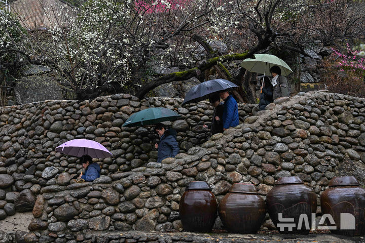 [광양=뉴시스] 광주·전남 봄비. (사진=뉴시스 DB). photo@newsis.com