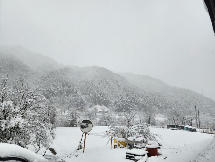 [강릉=뉴시스] 3일 강원 강릉시 왕산면 일대 모습.2026.03.03 grsoon815@newsis.com *재판매 및 DB 금지