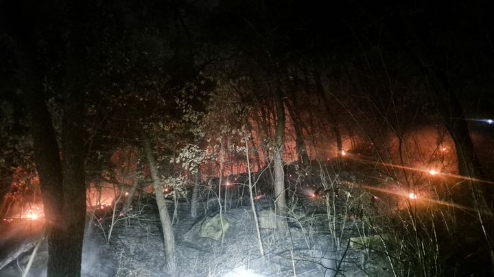 [아산=뉴시스] 충남 아산시가 지난 1일 염치읍 일원에서 발생한 산불에 대해 조기 진화에 성공했다. (사진=아산시 제공) 2026.03.03 photo@newsis.com *재판매 및 DB 금지