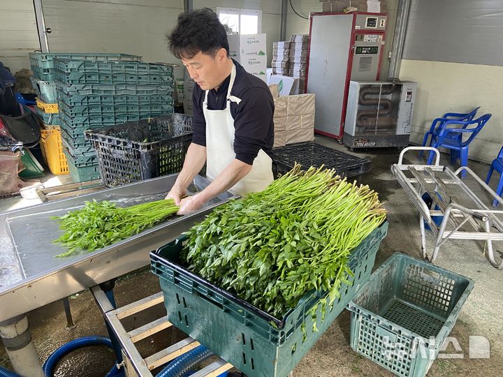 청학미나리·특산물도 즐기세요…하동군, 봄철 미식 여행