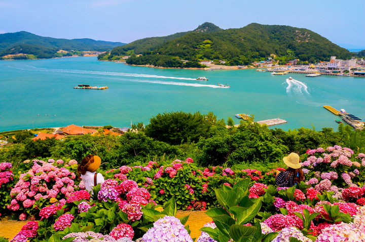 [고흥=뉴시스] 고흥 쑥섬. (사진=전남도 제공) 2026.03.03. photo@newsis.com *재판매 및 DB 금지