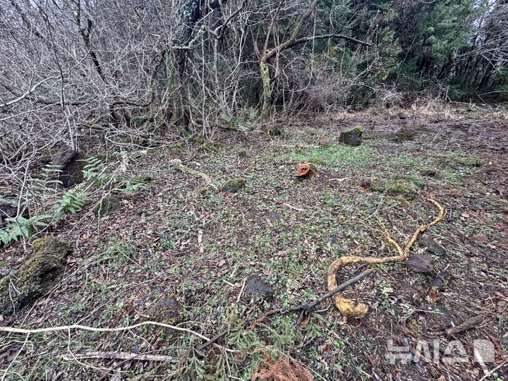 [제주=뉴시스] 제주 곶자왈 및 보호종 서식지 내 중장비에 의한 환경 훼손 모습. (사진=환경단체 곶자왈사람들 제공) 2026.03.03. photo@newsis.com
