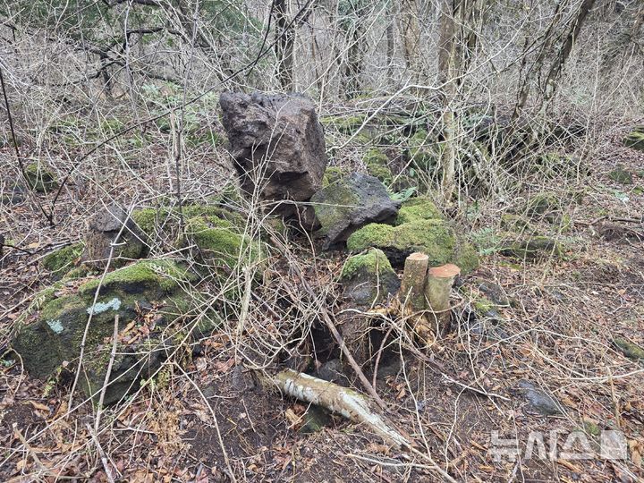 [제주=뉴시스] 제주 곶자왈 및 보호종 서식지 내 중장비에 의한 환경 훼손 모습. (사진=환경단체 곶자왈사람들 제공) 2026.03.03. photo@newsis.com 