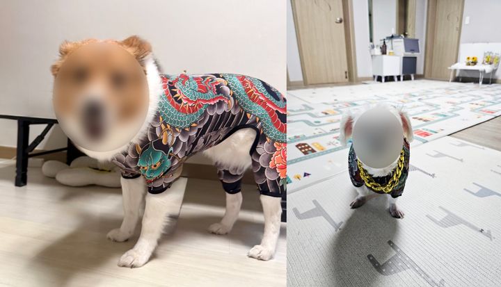 문신한 줄 알았더니 강아지 옷…'개레즈미 패션' 인기
