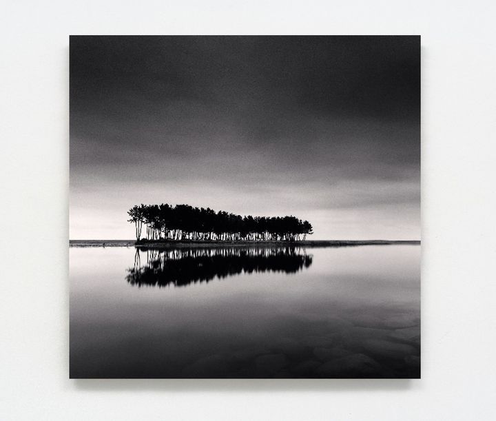 마이클 케나 Pine Trees, Study 1, Wolcheon, Gangwondo, South Korea. 2007 강원도 삼척, 솔섬 ⓒMICHAEL KENNA, 사진제공 공근혜갤러리 *재판매 및 DB 금지