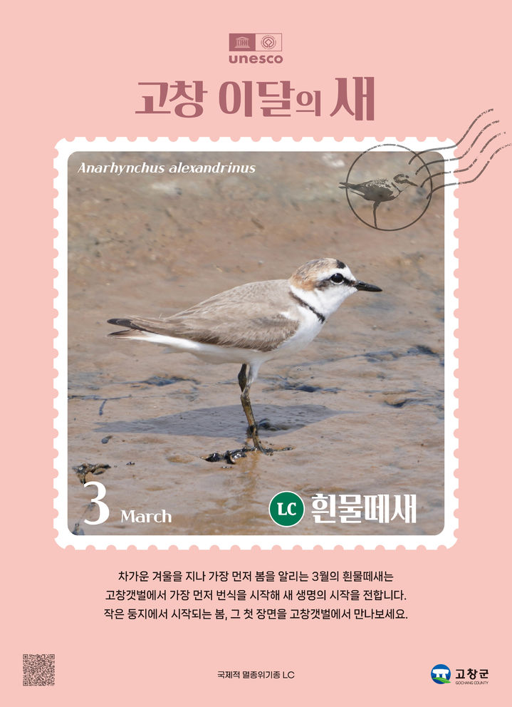  *재판매 및 DB 금지