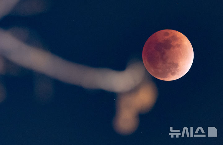 [서울=뉴시스] 황준선 기자 = 3일 밤 서울 마포구 하늘에서 태양과 지구, 달이 일직선상에 놓이면서 달이 지구의 본그림자에 완전히 가려 붉게 보이는 '블러드문(Blood Moon)' 현상이 관측되고 있다. 2026.03.03. hwang@newsis.com